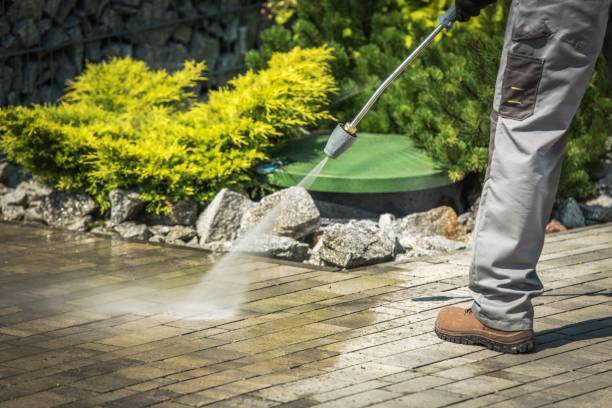 Best Dumpster Area Cleaning  in Peoria, AZ
